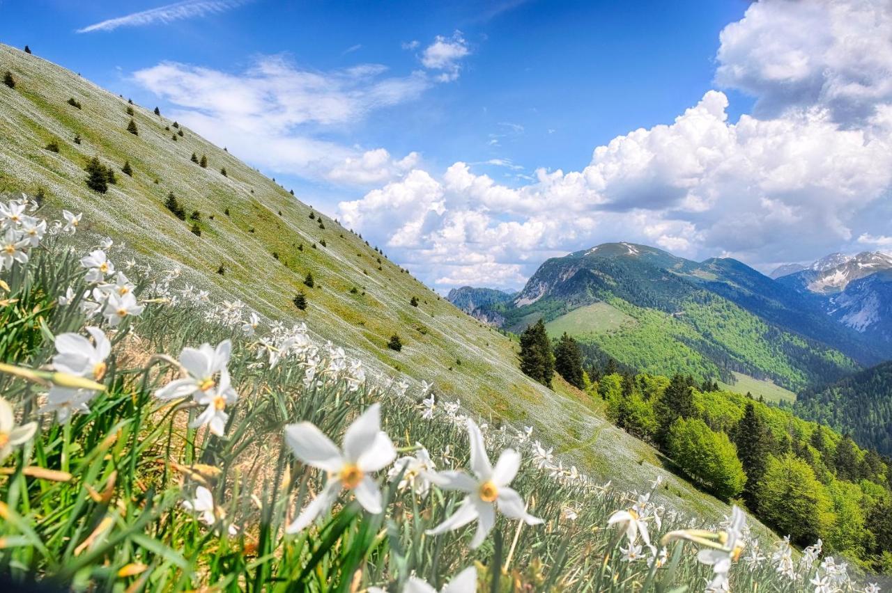 Apartments Pri Fencu Jesenice Εξωτερικό φωτογραφία