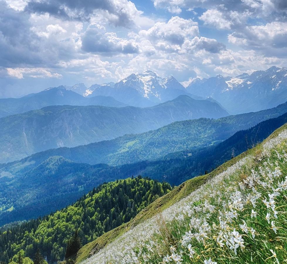 Apartments Pri Fencu Jesenice Εξωτερικό φωτογραφία