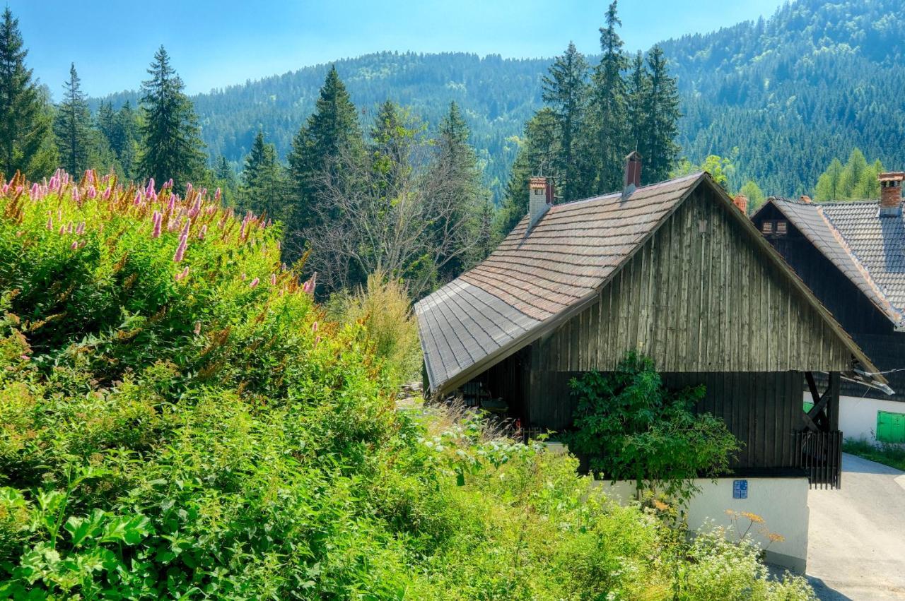 Apartments Pri Fencu Jesenice Εξωτερικό φωτογραφία
