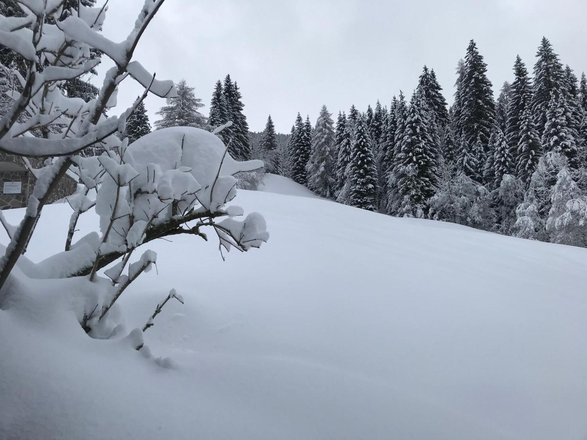 Apartments Pri Fencu Jesenice Εξωτερικό φωτογραφία