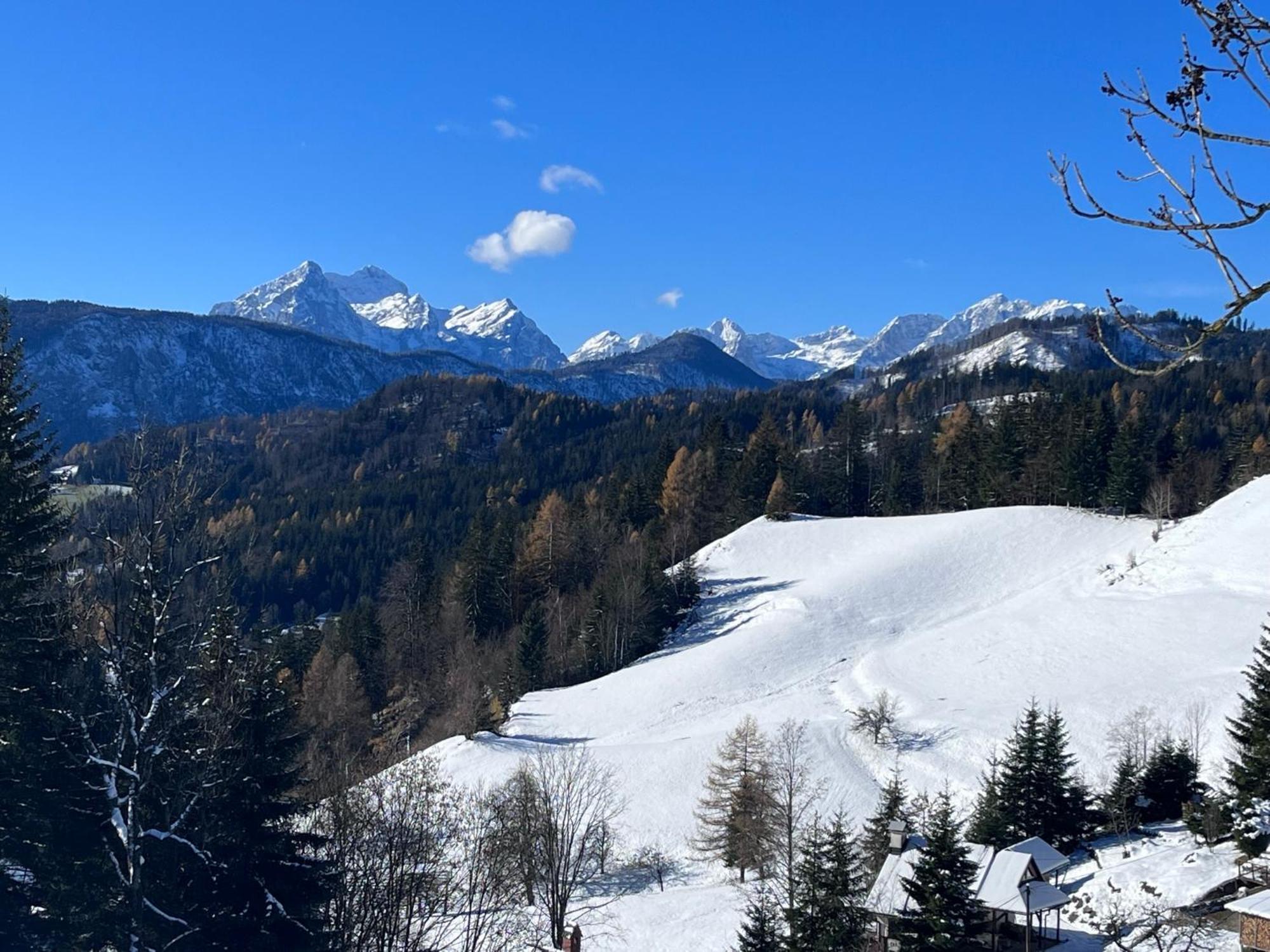 Apartments Pri Fencu Jesenice Εξωτερικό φωτογραφία